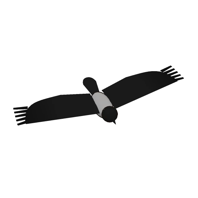 Hooded Crow gliding, the 3D model from the game