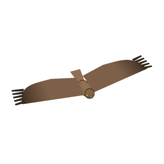 Short-toed Snake Eagle gliding, the 3D model from the game