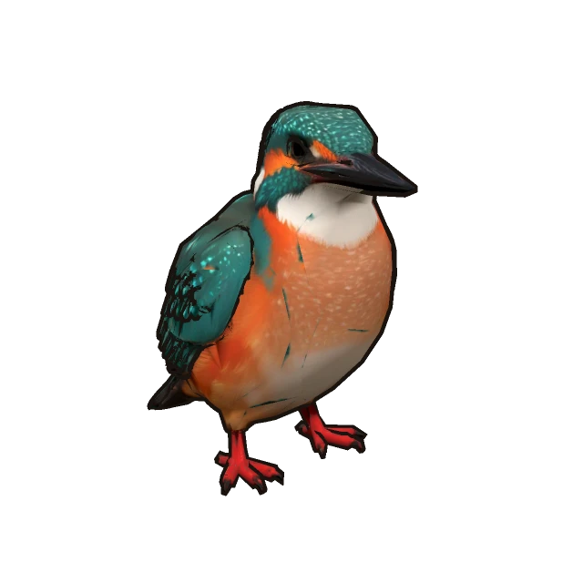 Common Kingfisher perched, the 3D model from the game