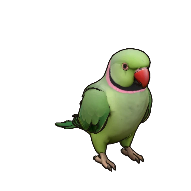 Rose-ringed Parakeet perched, the 3D model from the game