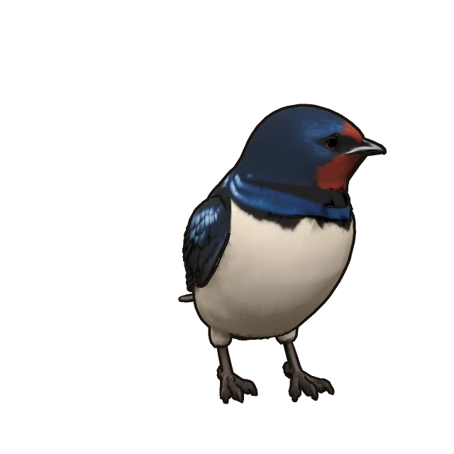 Barn Swallow perched, the 3D model from the game